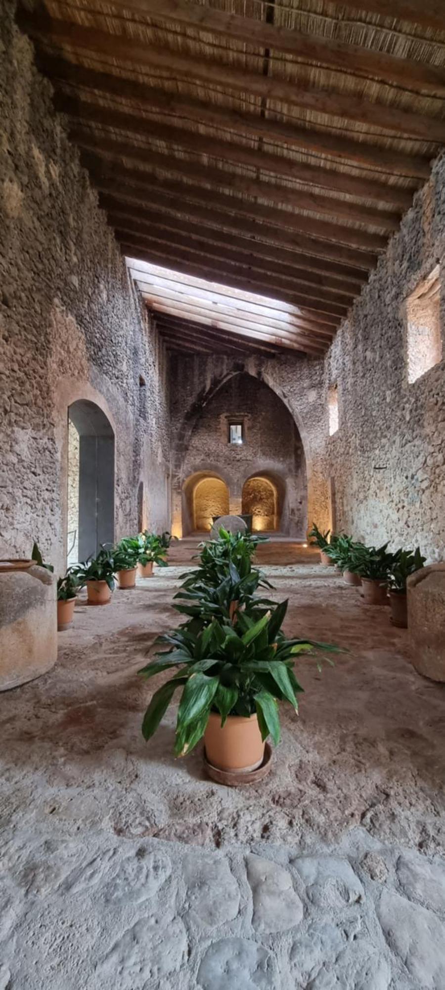 Finca Es Cabas Santa Maria del Cami  Exterior foto